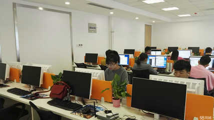 迅鋒商務信息咨詢 企業決策的智慧引擎與風險屏障